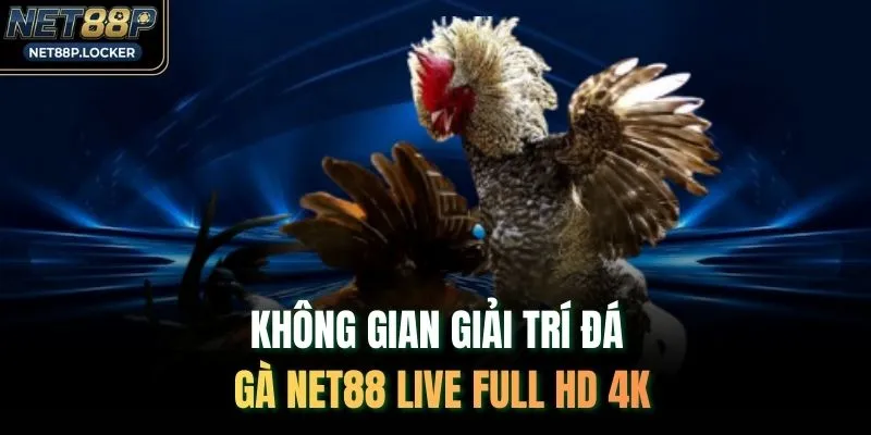 Không gian giải trí đá gà NET88 live full HD 4K
