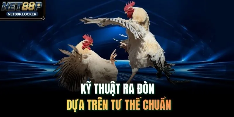 Kỹ thuật ra đòn dựa trên tư thế chuẩn