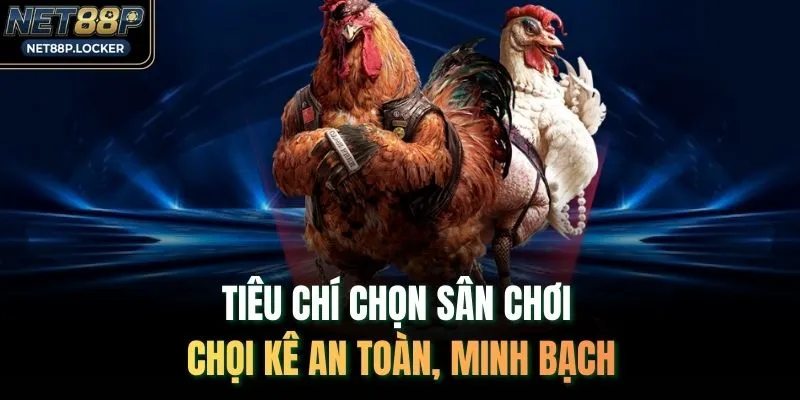 Tiêu chí chọn sân chơi chọi kê an toàn, minh bạch
